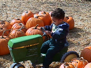 So how fast can this tracker go