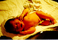 Josh's First Photos
