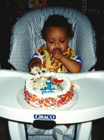 Josh's First Birthday Party
